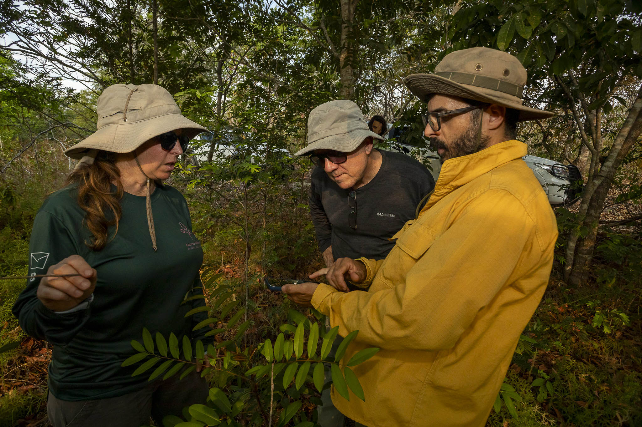 Imagem Expedição Chap Guim - ESEC Serra das Araras--29 da expedição de expedicoes/araras_25